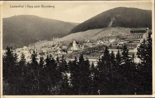 Ak Lautenthal Langelsheim im Oberharz, Blick vom Bromberg
