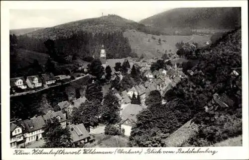 Ak Wildemann Clausthal Zellerfeld im Oberharz, Blick vom Badstubenberg