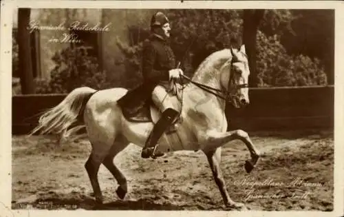 Ak Spanische Reitschule in Wien, Neapolitano Adriana, Spanischer Tritt, Ross Verlag