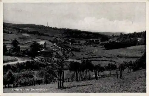 Ak Steinbrück Söhlde in Niedersachsen, Gesamtansicht, Landschaft