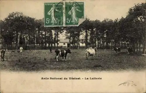 Ak Le Vésinet Yvelines, National Asylum, The Dairy