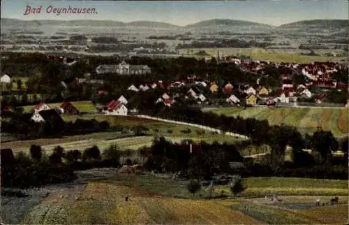 Ak Bad Oeynhausen in Westfalen, Panorama