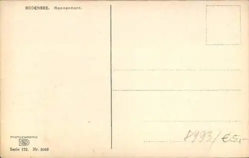 Ak Nonnenhorn am Bodensee, Teilansicht, blühende Bäume