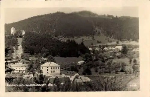 Ak Waidmannsfeld in Niederösterreich, Panorama