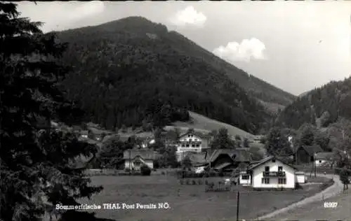 Ak Thal in Niederösterreich, Panorama