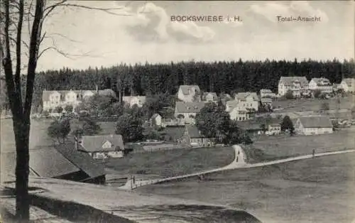 Ak Bockswiese Goslar im Harz, Teilansicht