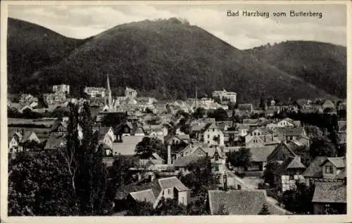 Ak Bad Harzburg am Harz, Gesamtansicht, vom Butterberg gesehen