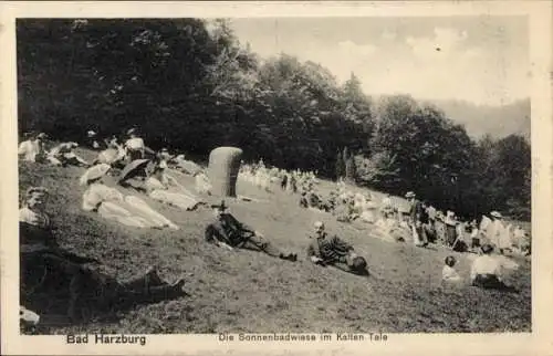 Ak Bad Harzburg, Sonnenbadwiese im Kalten Tale, Besucher