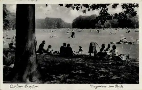 Ak Berlin Treptow, Liegewiese im Park