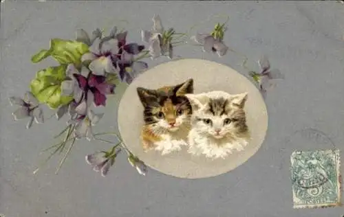 Ak Zwei Katzen, Tierportrait, Veilchen