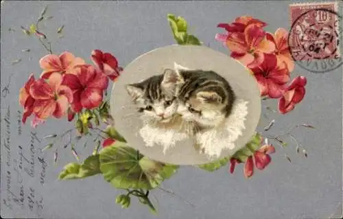 Ak Zwei Katzen, Tierportrait, Rote Blumen