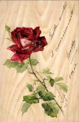 Künstler Ak Klein, Catharina, rote Rose