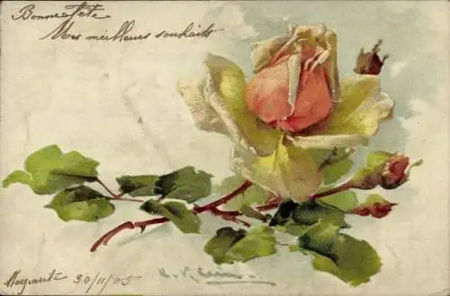 Künstler Ak Klein, Catharina, gelbe Rose