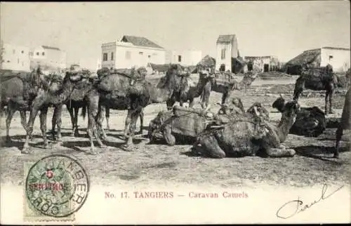Ak Tanger Marokko, Kamel Karavane
