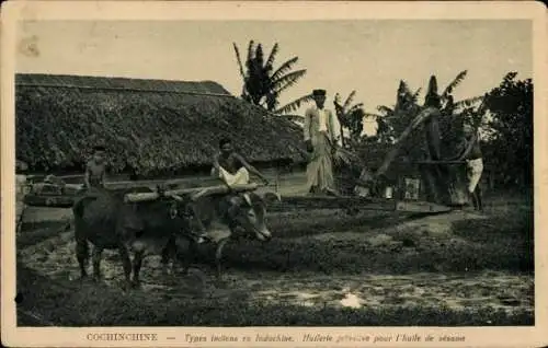 Ak Cochinchina Vietnam, Indische Typen in Indochina