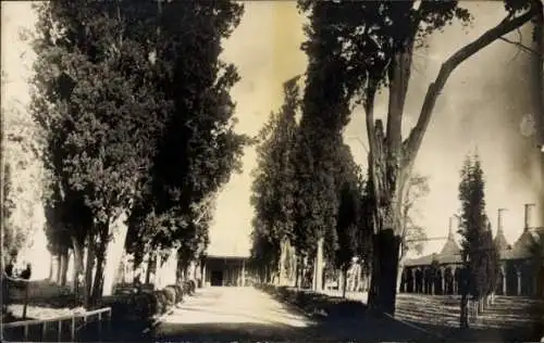 Ak Bagdad Irak, Allee