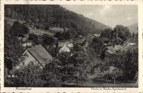 Ak Jagniątków Nieder Agnetendorf Jelenia Góra Hirschberg Riesengebirge Schlesien, Teilansicht