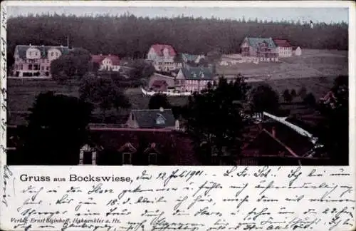 Ak Hahnenklee Bockswiese Goslar im Harz, Teilansicht