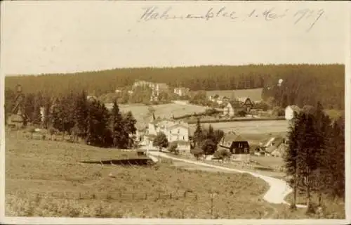 Ak Hahnenklee Bockswiese Goslar Harz, Panorama