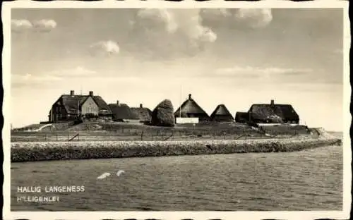 Ak Hallig Langeness Langeneß Nordfriesland, Hilligenlei