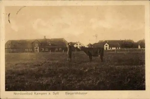 Ak Kampen auf Sylt, Bauernhäuser, Kuh