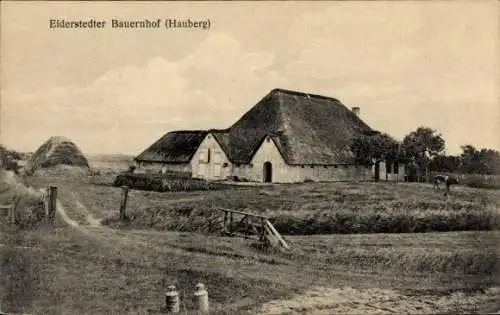 Ak Hauberg Witzwort in Nordfriesland, Eiderstedter Bauernhof, Reetdach