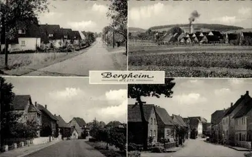 Ak Bergheim Steinheim im Weserbergland, Gasthof Mönikes, Ortsansichten