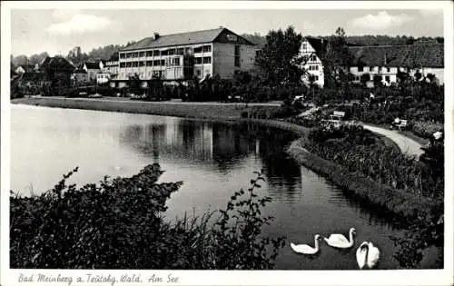 Ak Bad Meinberg am Teutoburger Wald, Am See, Schwäne