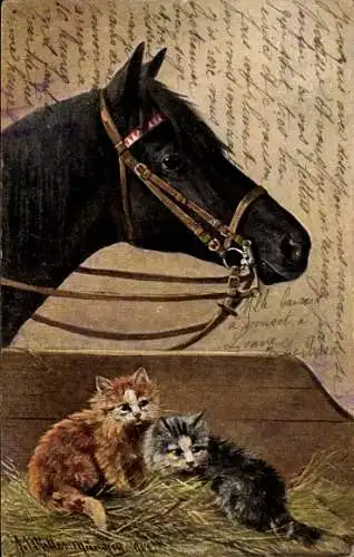 Künstler Litho Müller, August, Katzenjungen im Pferdestall, schwarzes Pferd, Stroefer S. 333