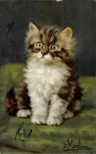 Künstler Ak Merlin, D., Katzenbaby mit gespanntem Blick