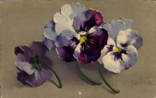 Künstler Ak Klein, Catharina, Stiefmütterchen