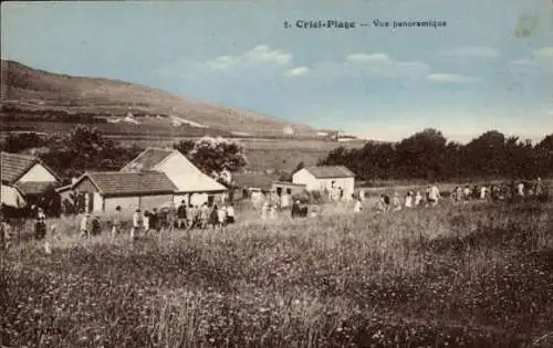 Ak Criel-sur-Mer Seine Maritime, Panoramablick