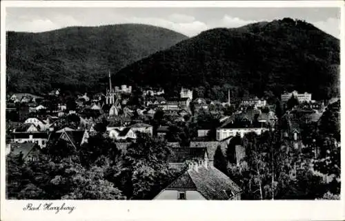 Ak Bad Harzburg am Harz, Totalansicht