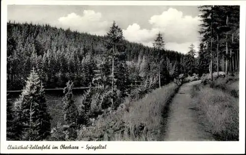 Ak Clausthal Zellerfeld im Oberharz, Spiegeltal