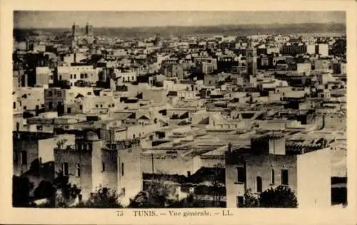 Ak Tunis, Tunesien, Gesamtansicht