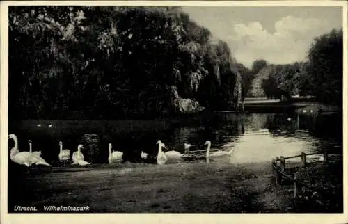 Ak Utrecht Niederlande, Wilhelminapark