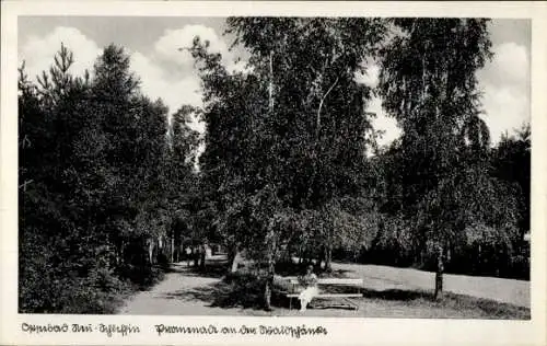 Ak Śliwin Neuschleffin Rewal Rewahl Pommern, Promenade an der Waldschänke