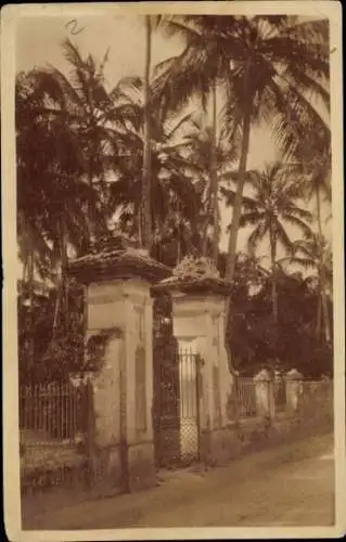 Foto Ak Rio de Janeiro, Cocotiers a Paqueta