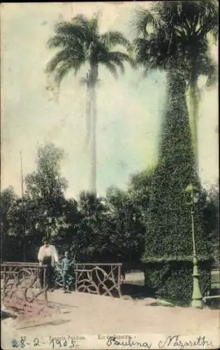 Ak Rio de Janeiro Brasilien, Park, Brücke, Palmen