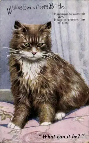 Ak Glückwunsch Geburtstag, Braune Katze