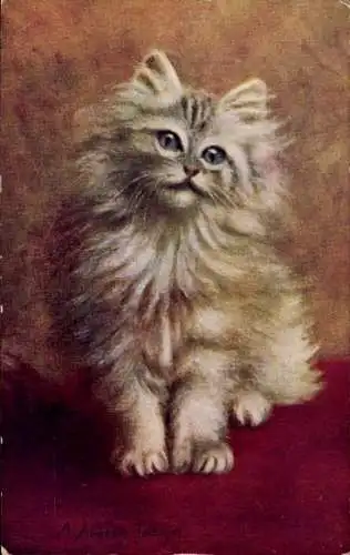 Künstler Ak Tulbuys, A. A., Junge Katze, Kätzchen, Tierportrait