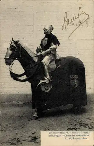 Ak Grand Historical Tournament, Knight Combatant