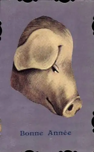 Ak Glückwunsch Neujahr, Schwein, Tierportrait