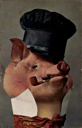 Ak Vermenschlichtes Schwein, Hut, Pfeife