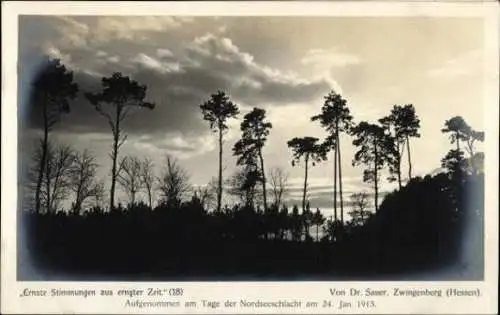 Set von 17 Ak, Ernste Stimmungen aus unserer Zeit, Dr. Sauer, Zwingenberg