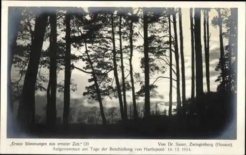 Set von 17 Ak, Ernste Stimmungen aus unserer Zeit, Dr. Sauer, Zwingenberg