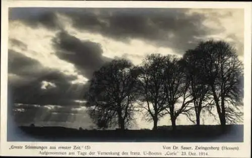 Set von 17 Ak, Ernste Stimmungen aus unserer Zeit, Dr. Sauer, Zwingenberg