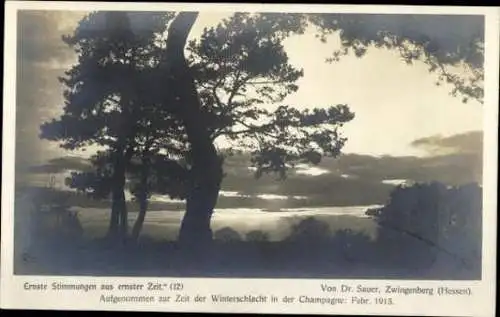 Set von 17 Ak, Ernste Stimmungen aus unserer Zeit, Dr. Sauer, Zwingenberg