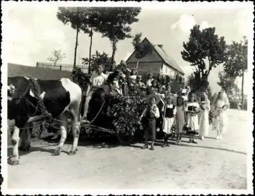 Set von Foto  Kämmerswalde Cämmerswalde Neuhausen im Erzgebirge, Turnfest