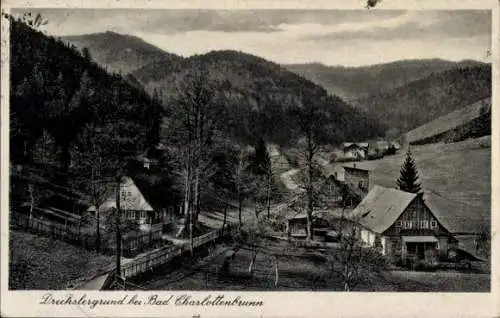 Ak Jedlina Zdrój Bad Charlottenbrunn Schlesien, Drechslergrund